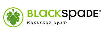 Black Spade ile her siparişten 2% para kazan ve Ekim 2024 indirim kuponlarını kullan!